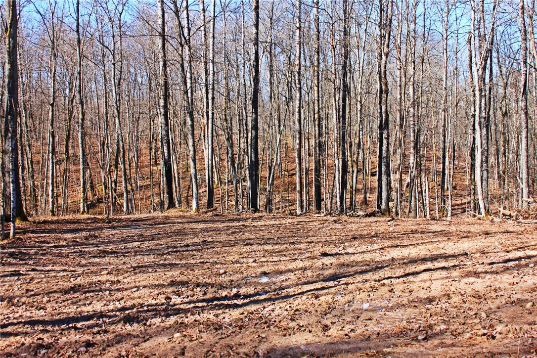 W2352 Eagle Nest Road Property Photo