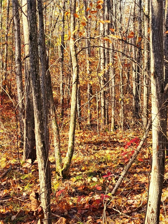 Xxx Hwy 77 Highway Property Photo