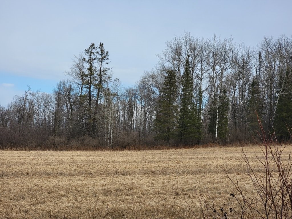 On Townline Road Property Photo
