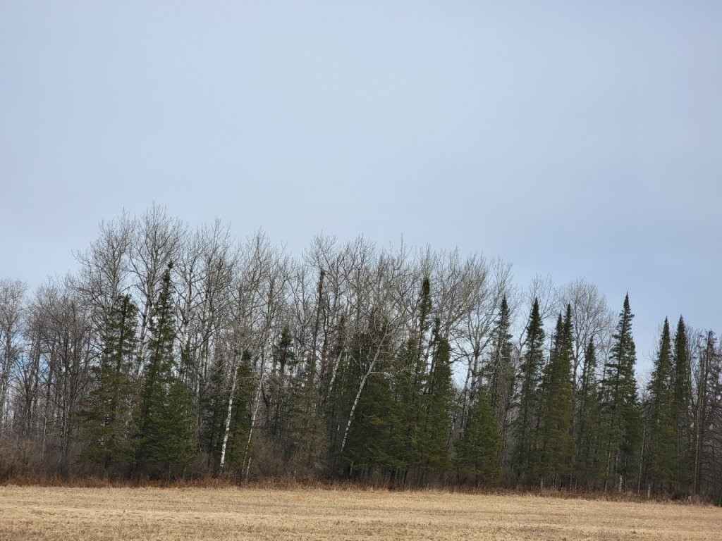 On Townline Road Property Photo 2