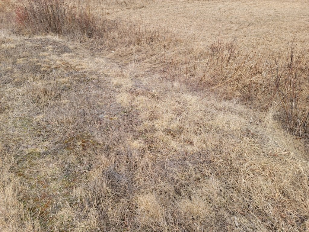 On Townline Road Property Photo 3