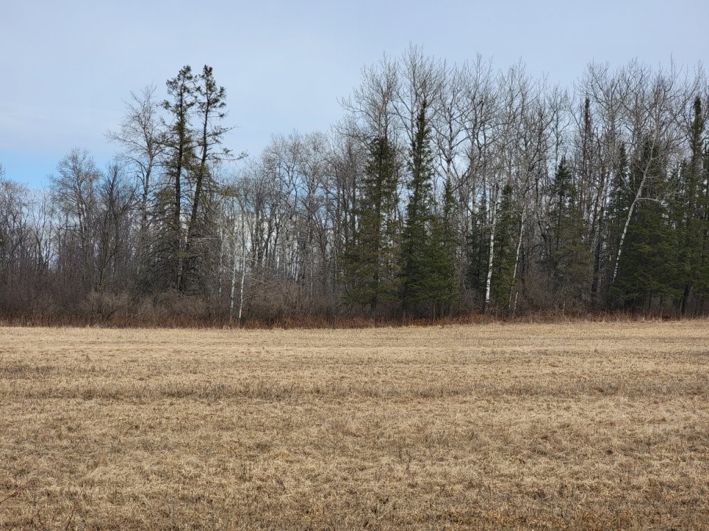 On Townline Road Property Photo 4