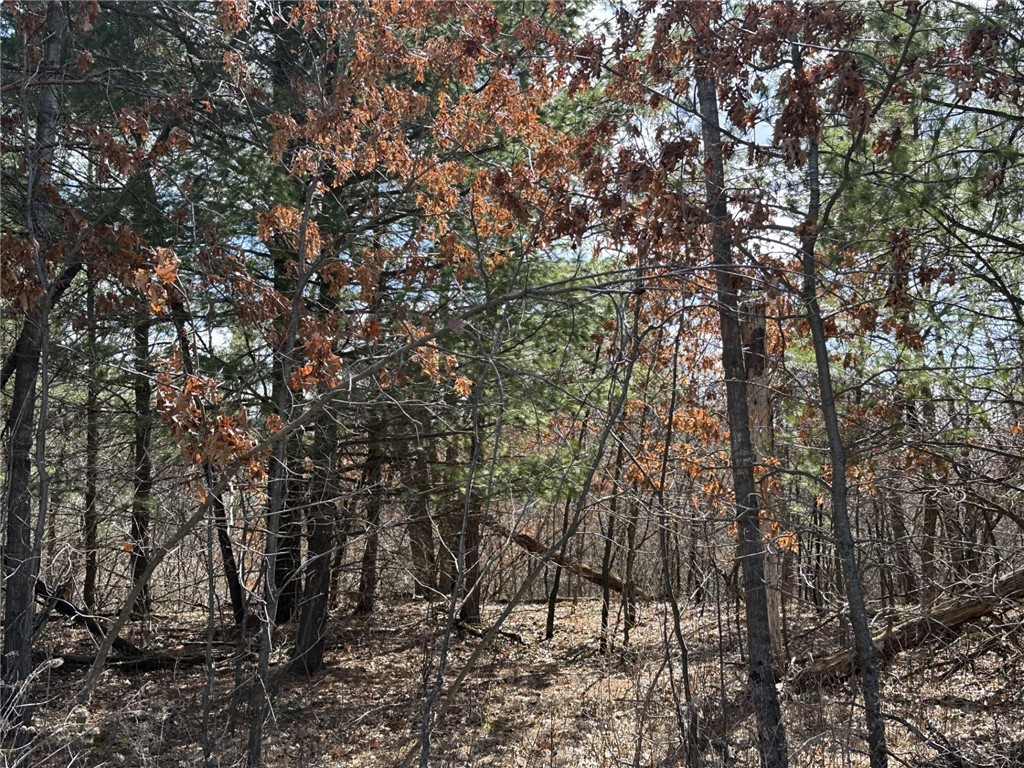 Lot 3 Olson Drive Property Photo