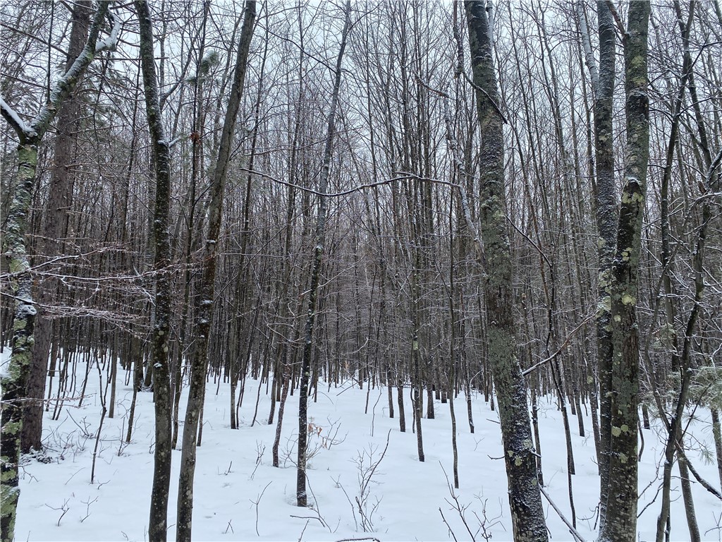 Near Seven Mile Road Property Photo