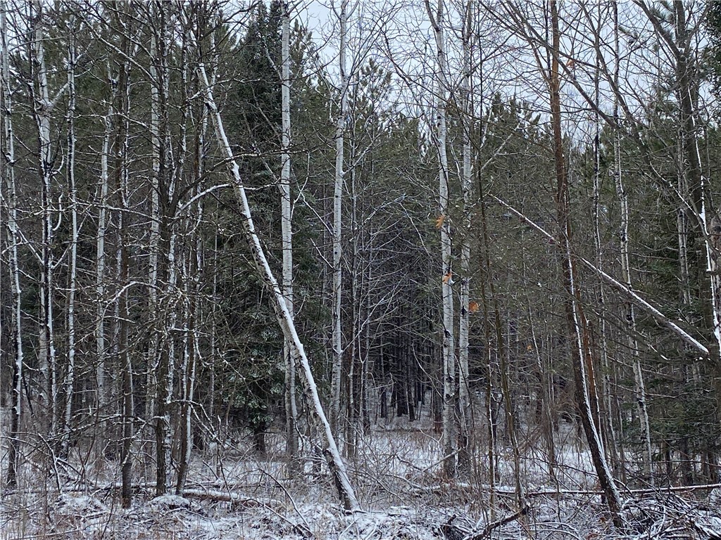 On Sorenson Road Property Photo