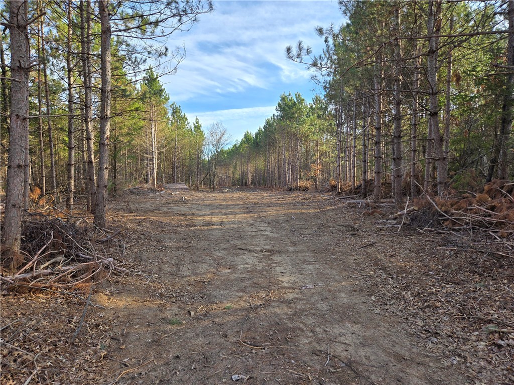 Lot 1 County Road S Property Photo