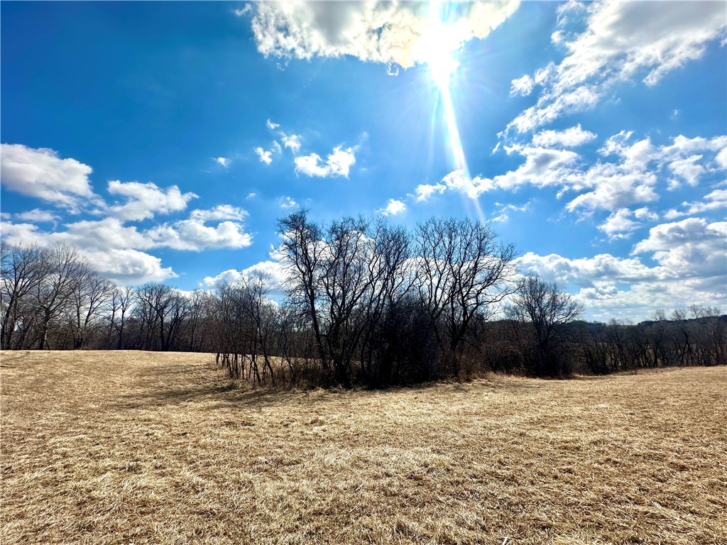 Lot 1(10 Acres) 197th Street Property Photo