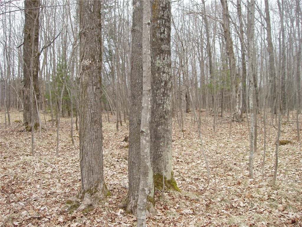 Lot 1 4th Add. Margaret Lane Property Photo