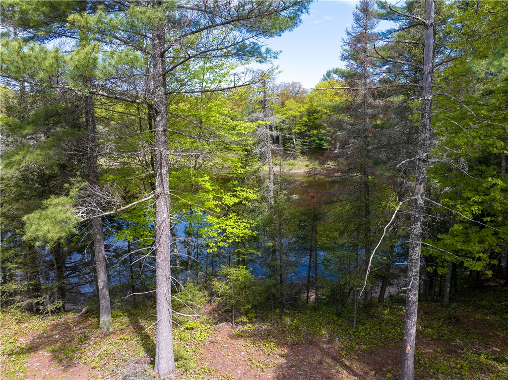 18.29 Acres Tri Lakes Road Property Photo 1