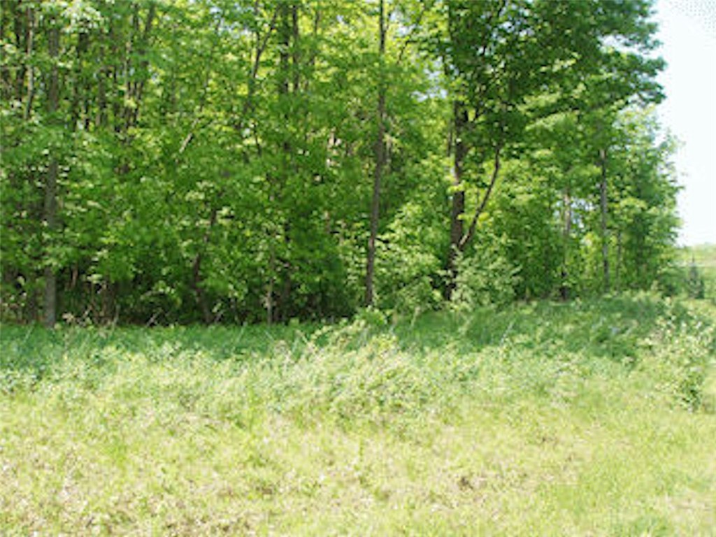 Lot 12 Margaret Lane Property Photo