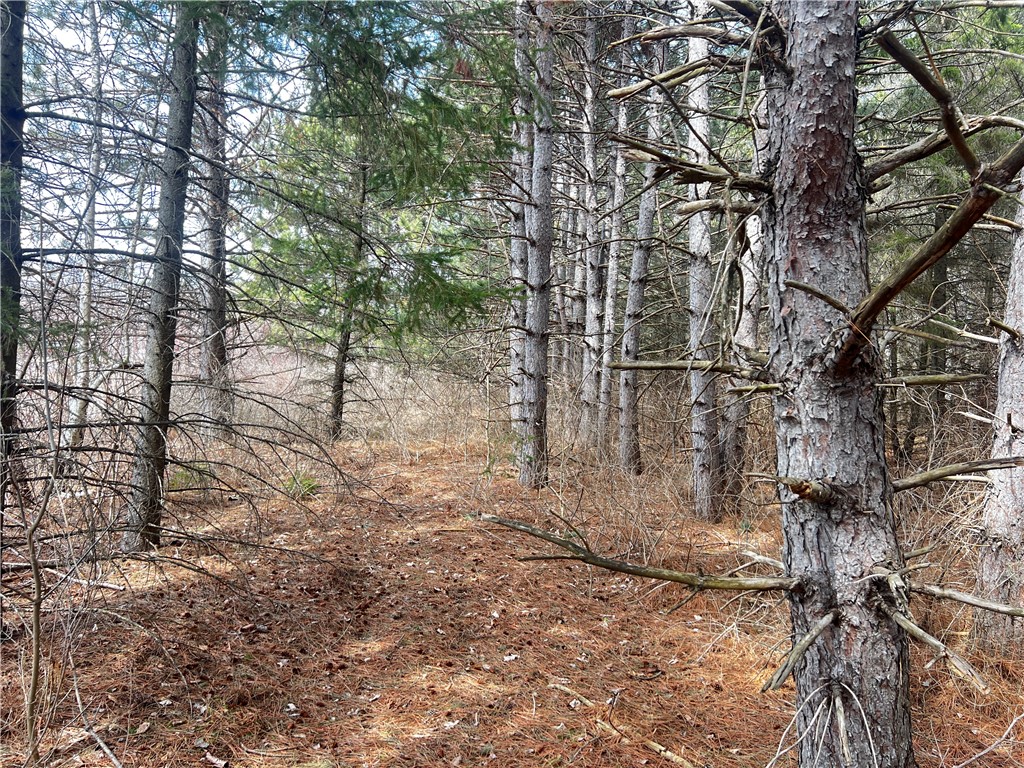 Lot 6 3 1/4 5th Street Property Photo