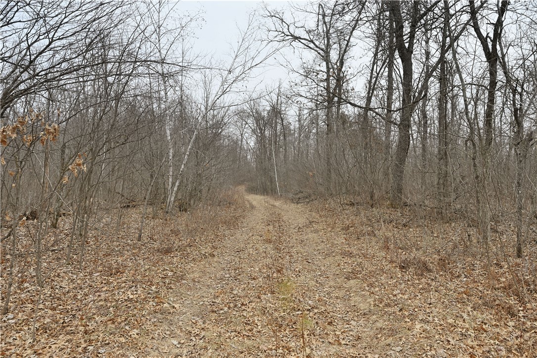 Lot 5 And Lot 11 Kelly Lane Property Photo