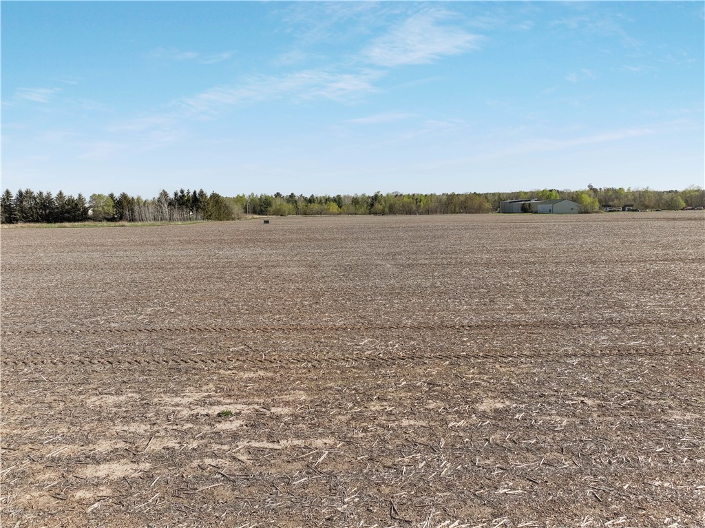 Lot 7 Guy Avenue Property Photo 20