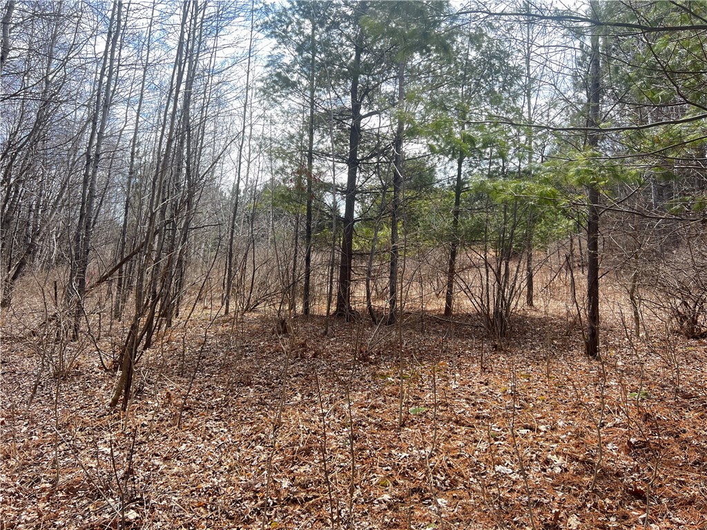 Lot 5 3 1/4 5th Street Property Photo