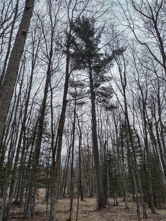 Lot 1 Xxx Blaiszik's Bay Lane Property Photo