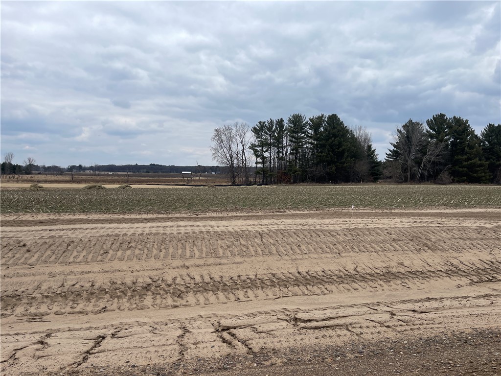 Lot #3 14th Avenue Property Photo 1