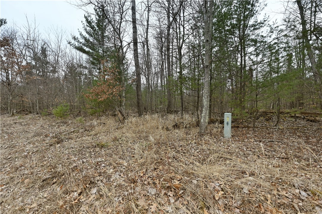 Lot 2 Long Lake Road Property Photo
