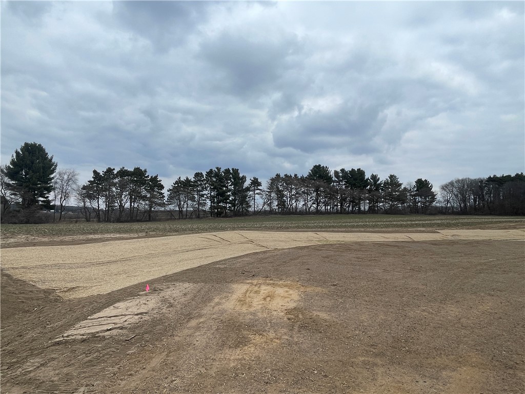 Lot #4 14th Avenue Property Photo