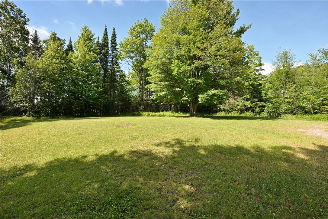 Lots 44 & 45 Highway D Property Photo 3