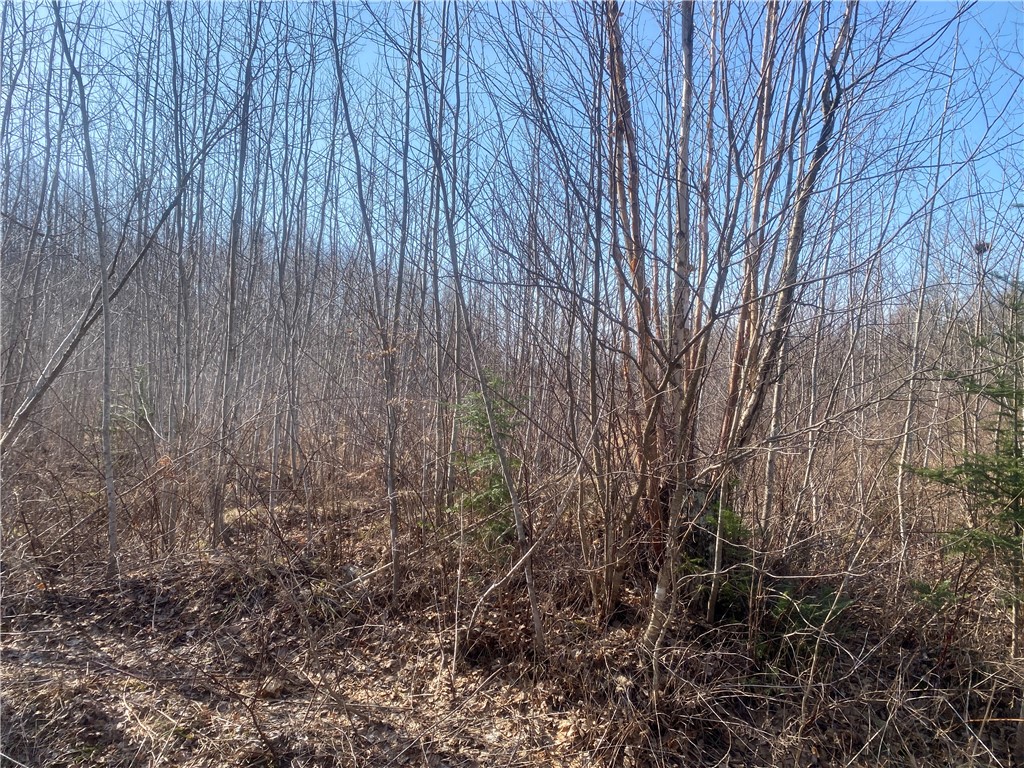 Near Bass Lake Road Property Photo 1