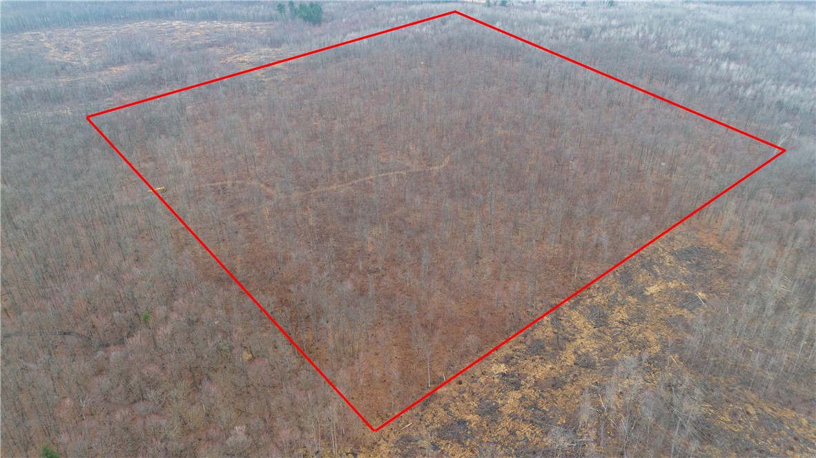 40 Acres Dickerson Ave Property Photo