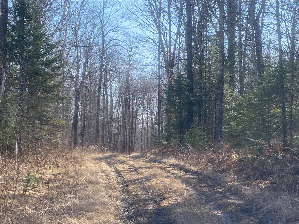 On S Buckhorn Road Property Photo 1