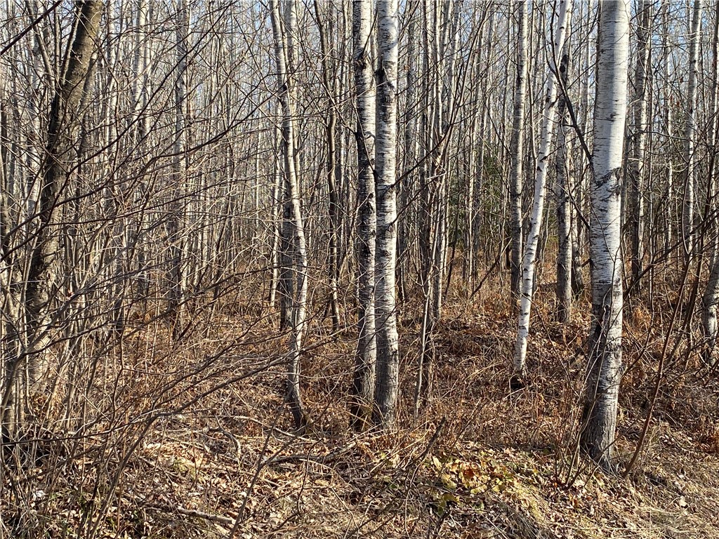 Near Bass Lake Road Property Photo 1
