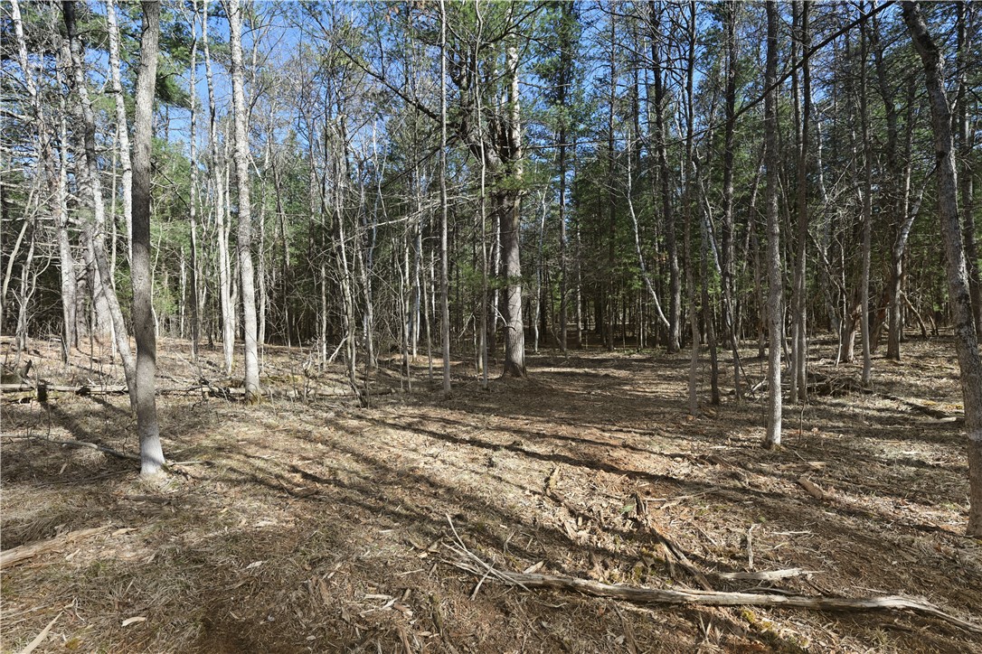 1.74 Acres 9th St Property Photo