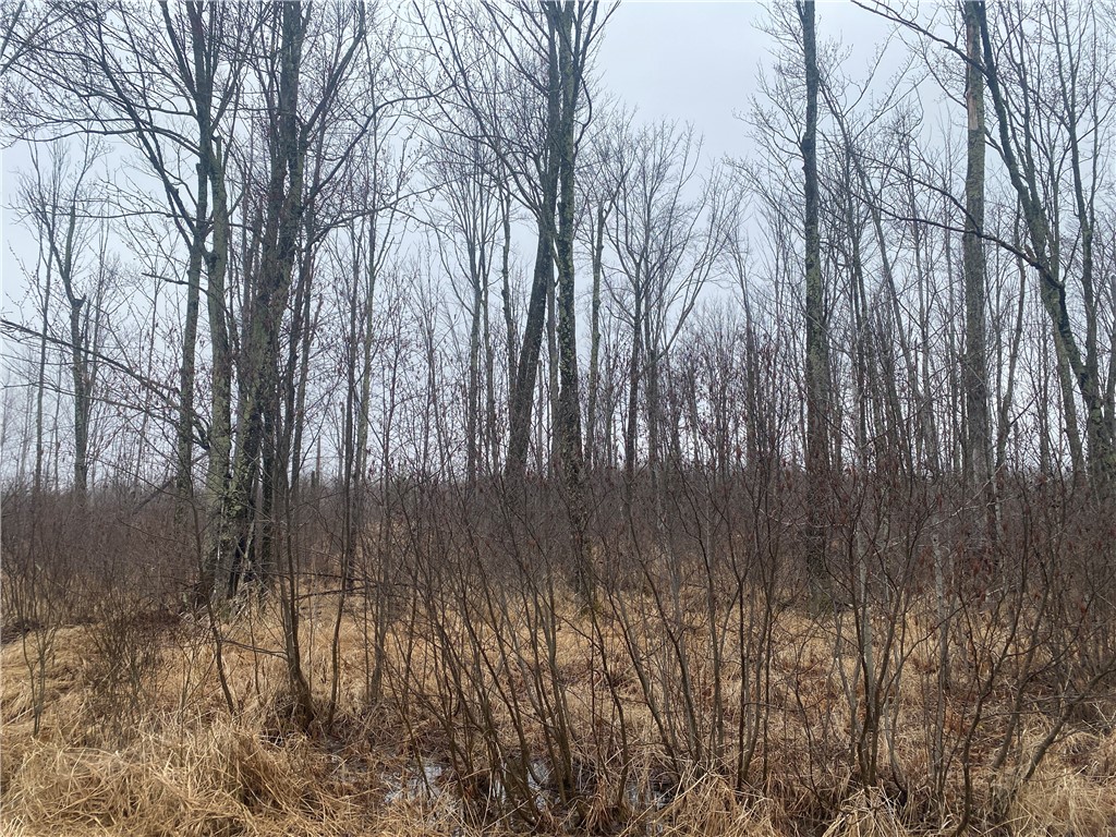 On Shauger Road Property Photo