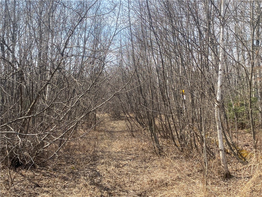On Skinner Creek Lane Property Photo
