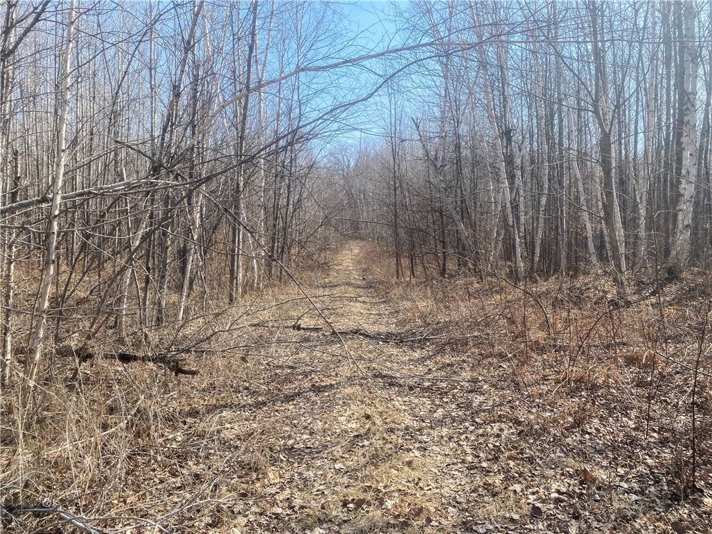 On Up River Road Property Photo 1