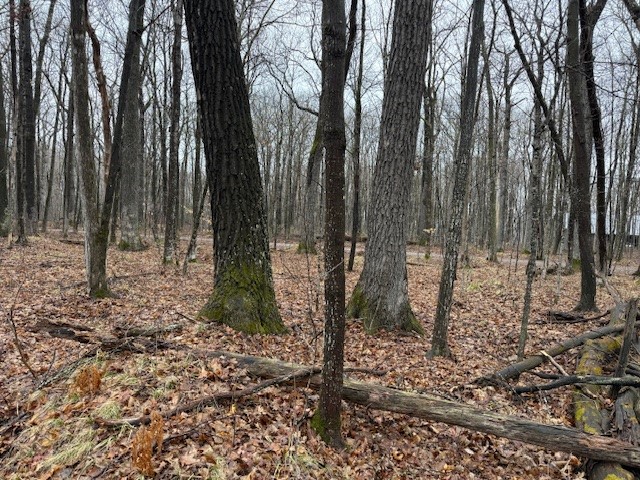 002 Off Of Victory Heights Circle Rd Property Photo
