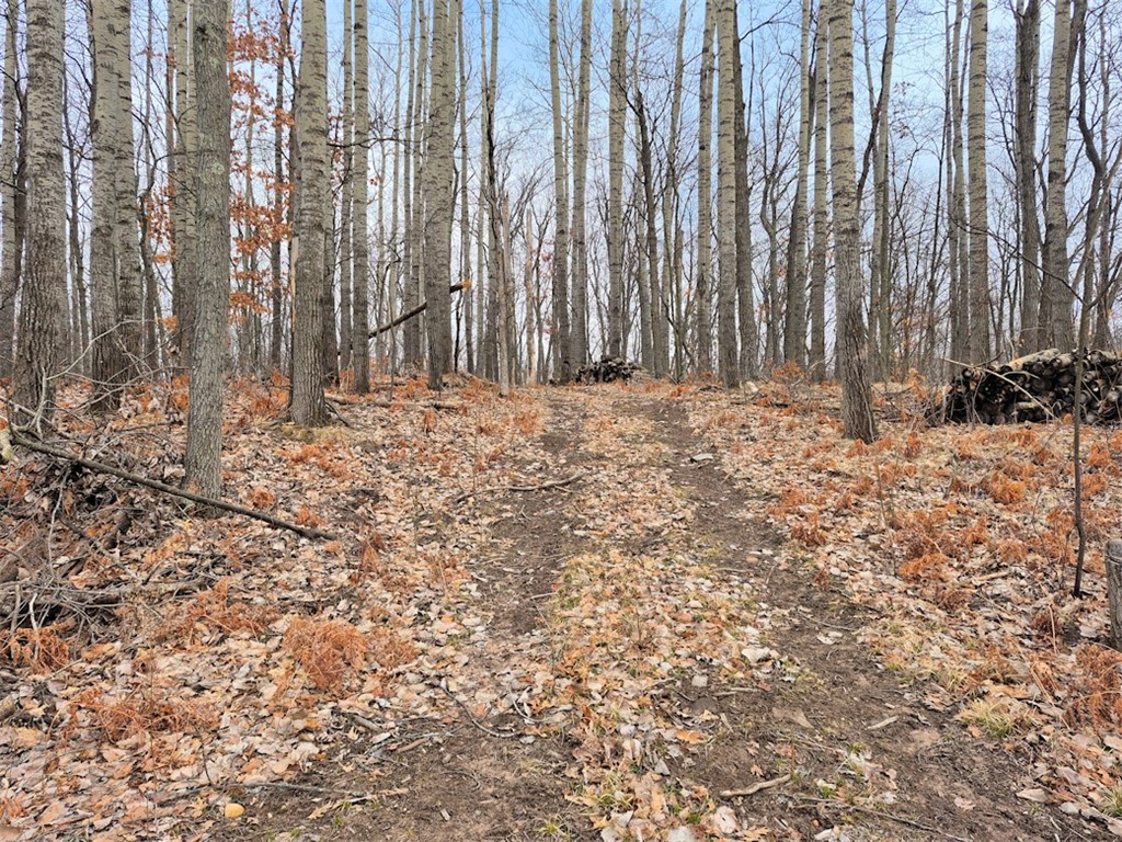 0 Town Hall Road Property Photo