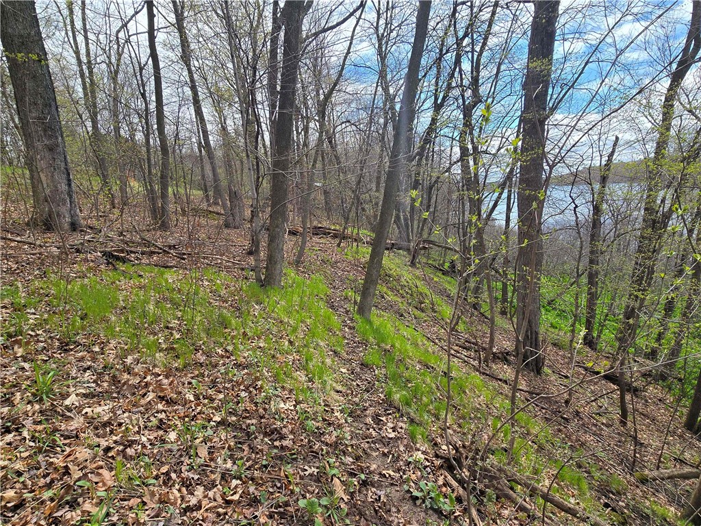 Xxx Niles Lane Property Photo