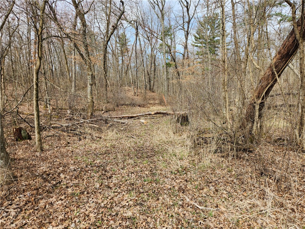 0 State Hwy 12/27 Property Photo
