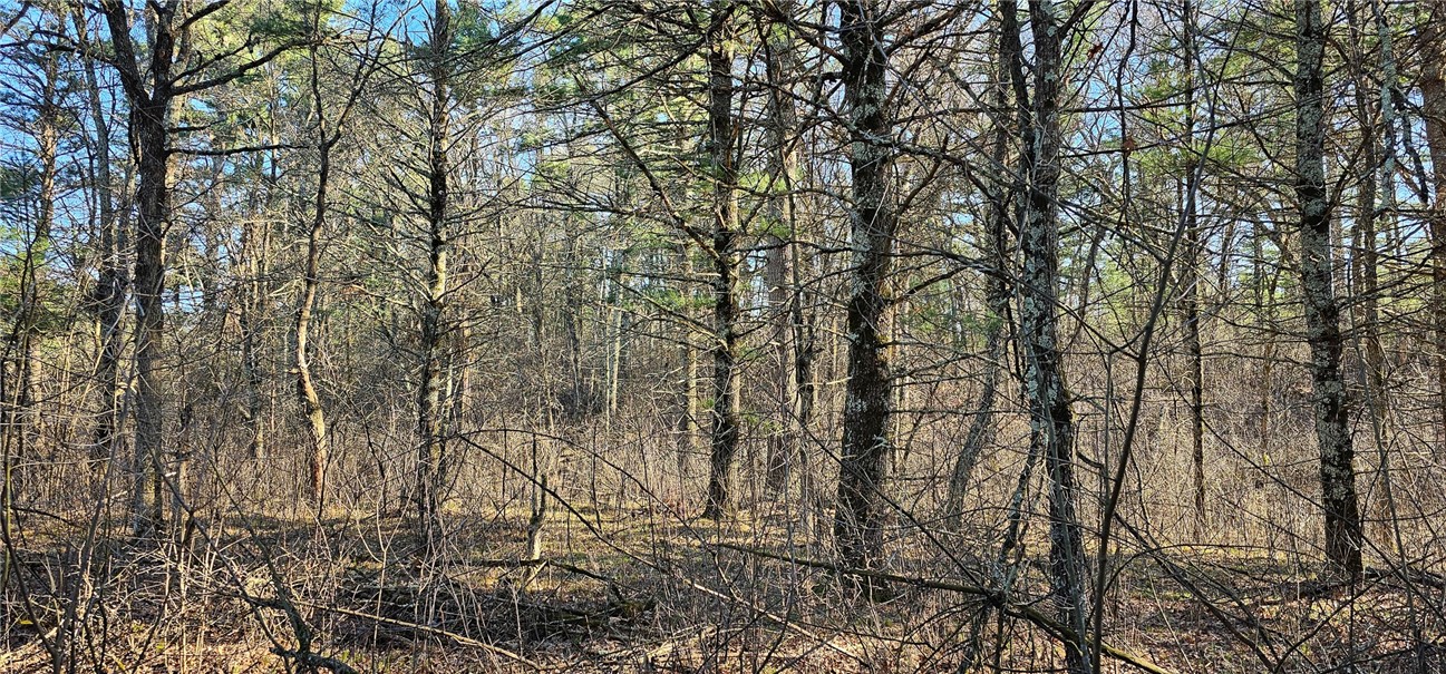 0 Lot 7/8 Levis Creek Road Property Photo 10