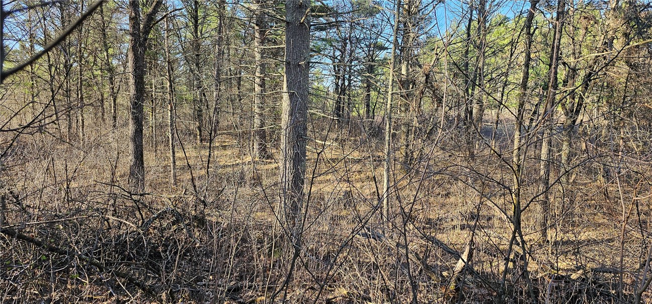 0 Lot 7/8 Levis Creek Road Property Photo 17