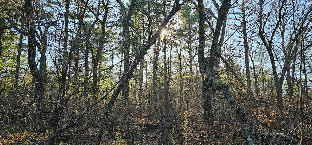0 Lot 7/8 Levis Creek Road Property Photo 18