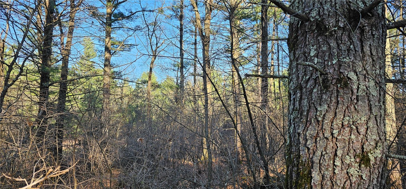0 Lot 7/8 Levis Creek Road Property Photo 19