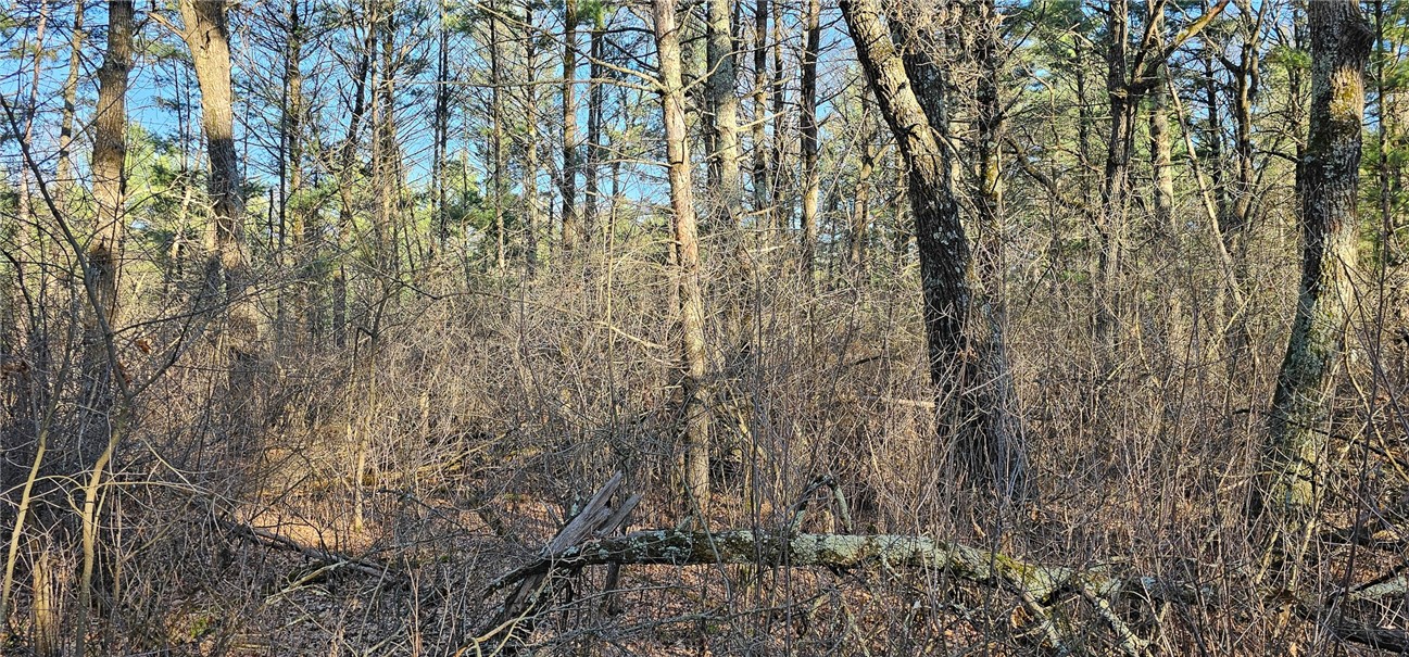 0 Lot 7/8 Levis Creek Road Property Photo 20