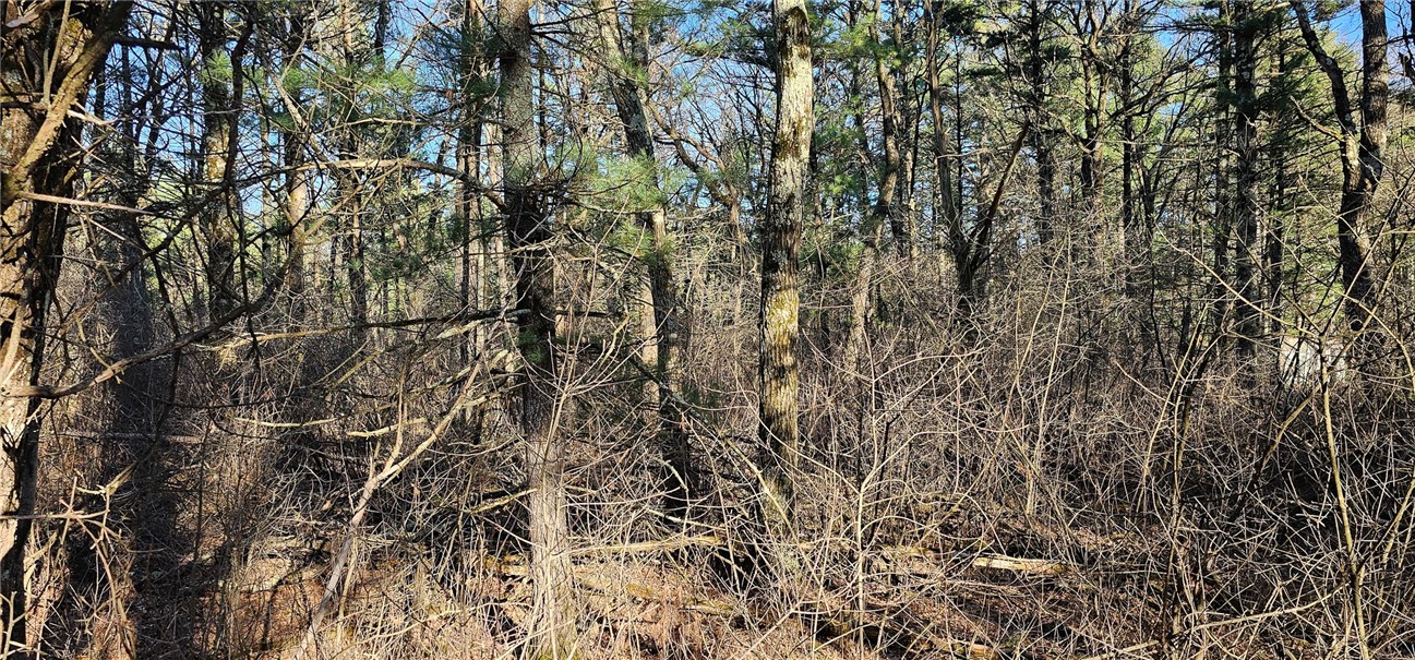 0 Lot 7/8 Levis Creek Road Property Photo 22