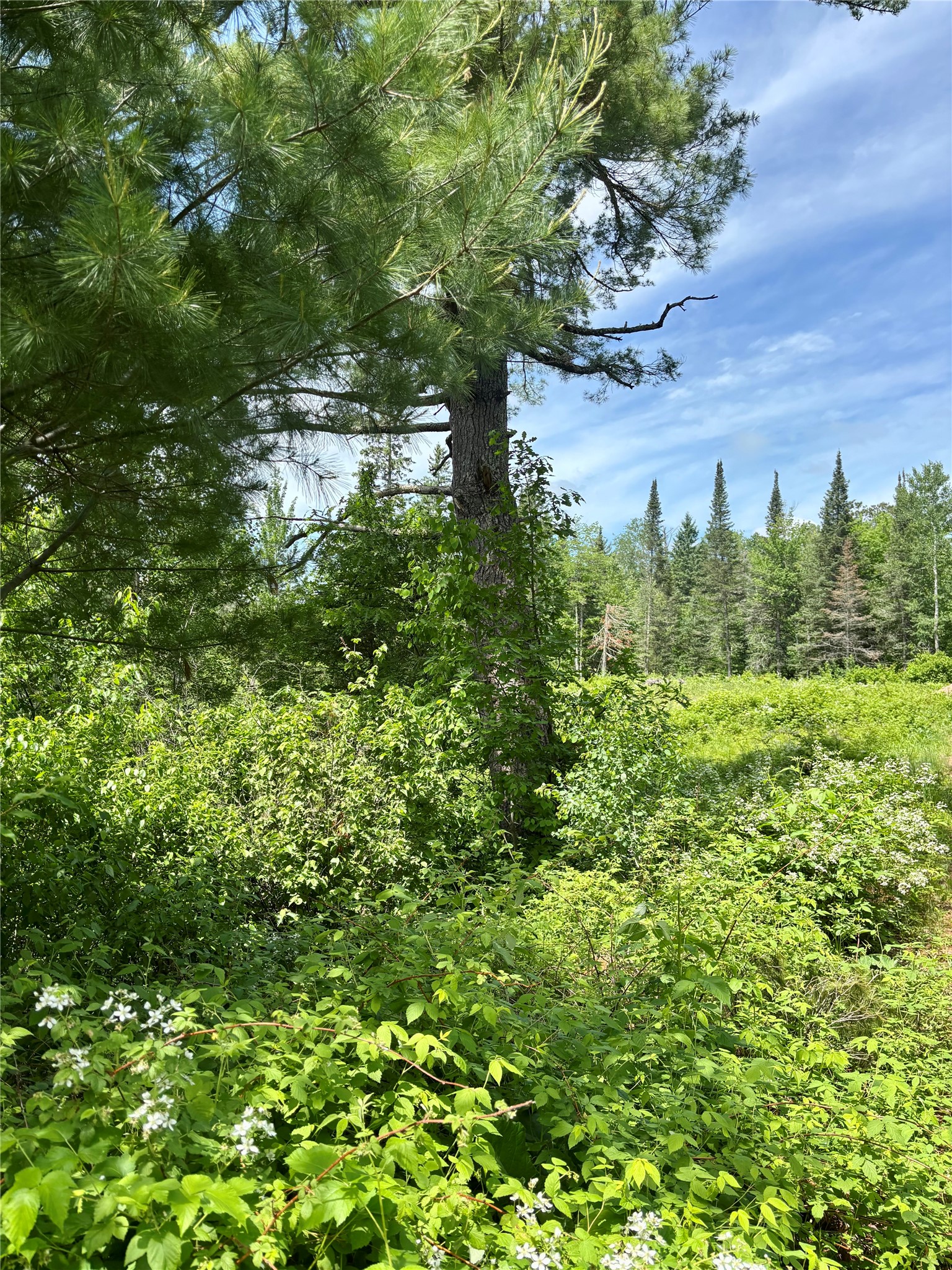 16550 W Ridgerock Road Property Photo 1
