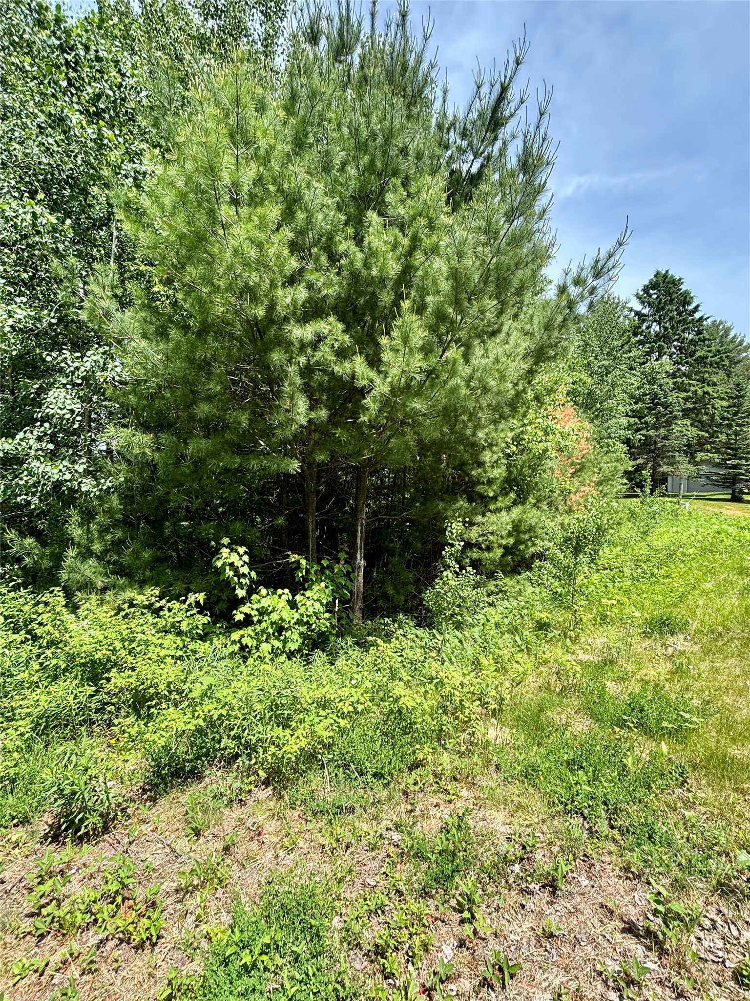16550 W Ridgerock Road Property Photo 2