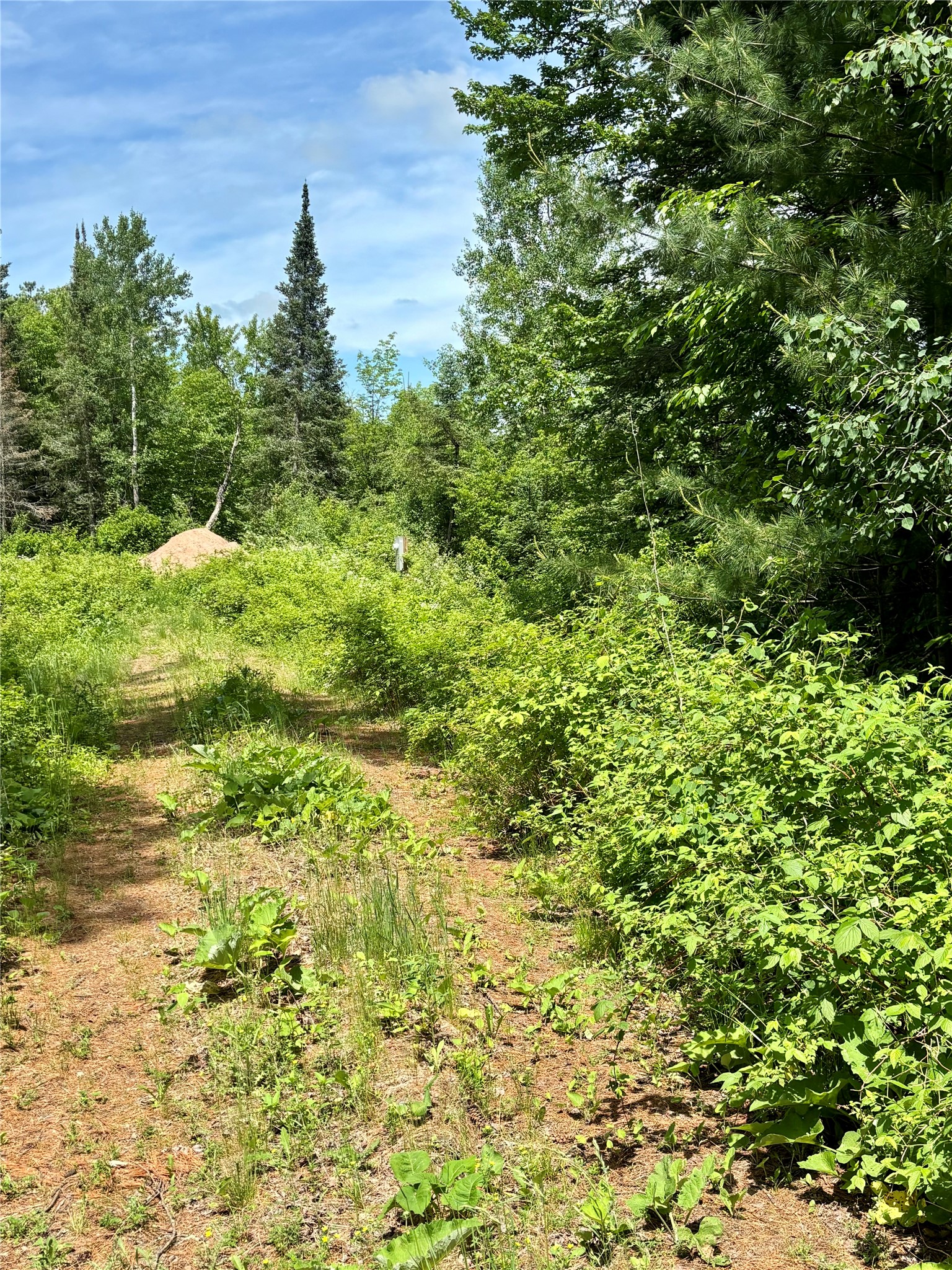 16550 W Ridgerock Road Property Photo 3