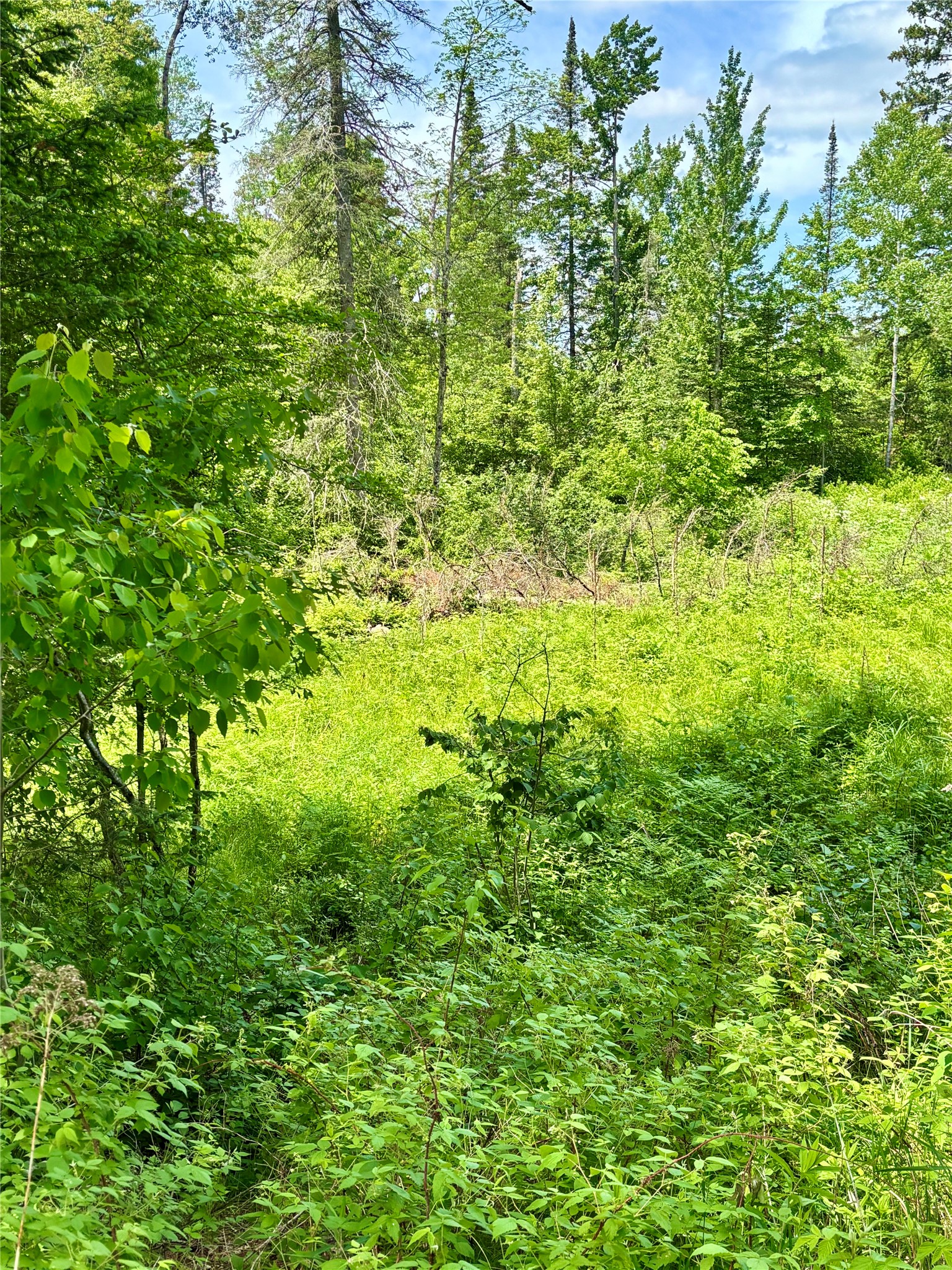 16550 W Ridgerock Road Property Photo 5