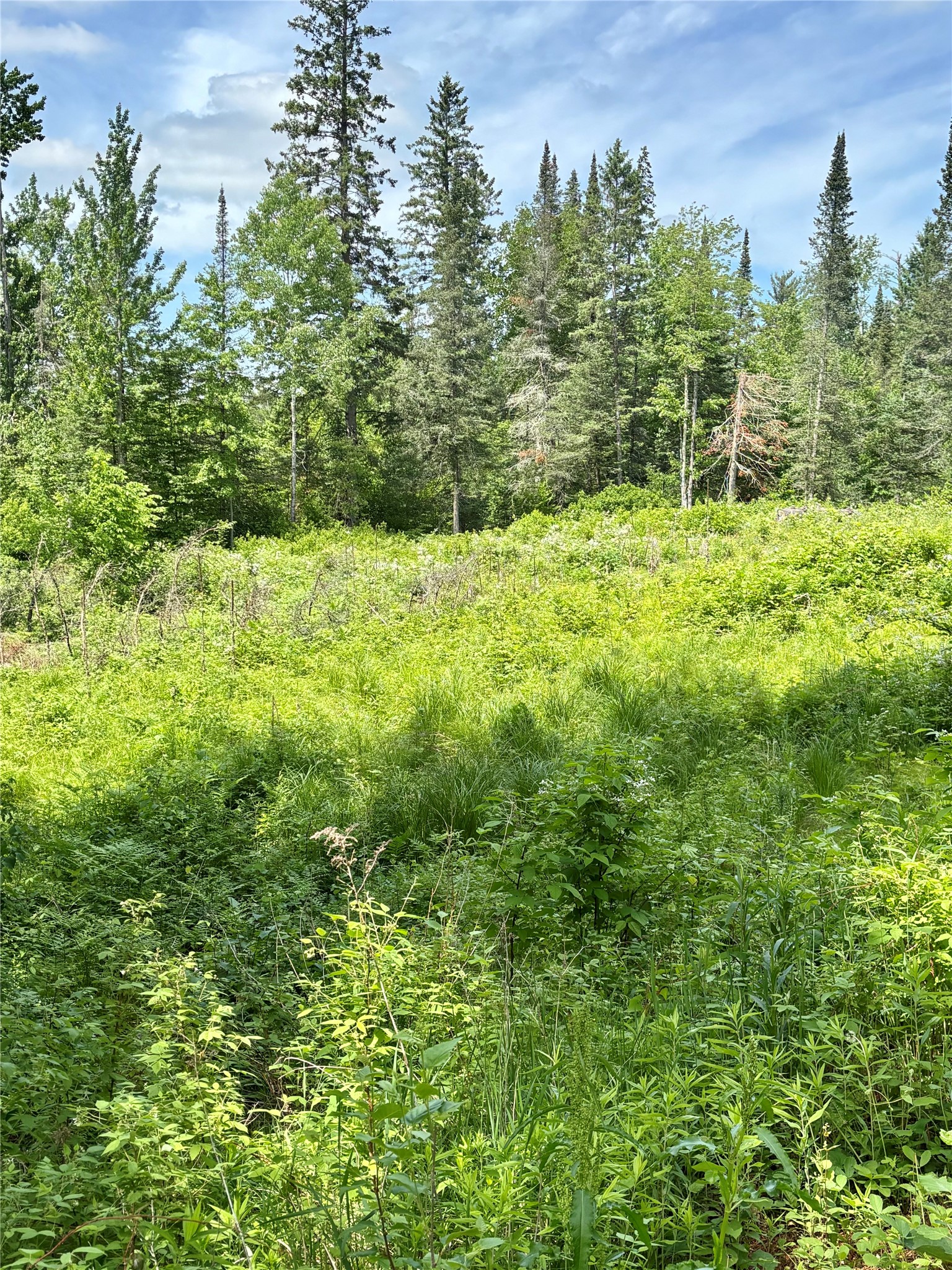 16550 W Ridgerock Road Property Photo 6
