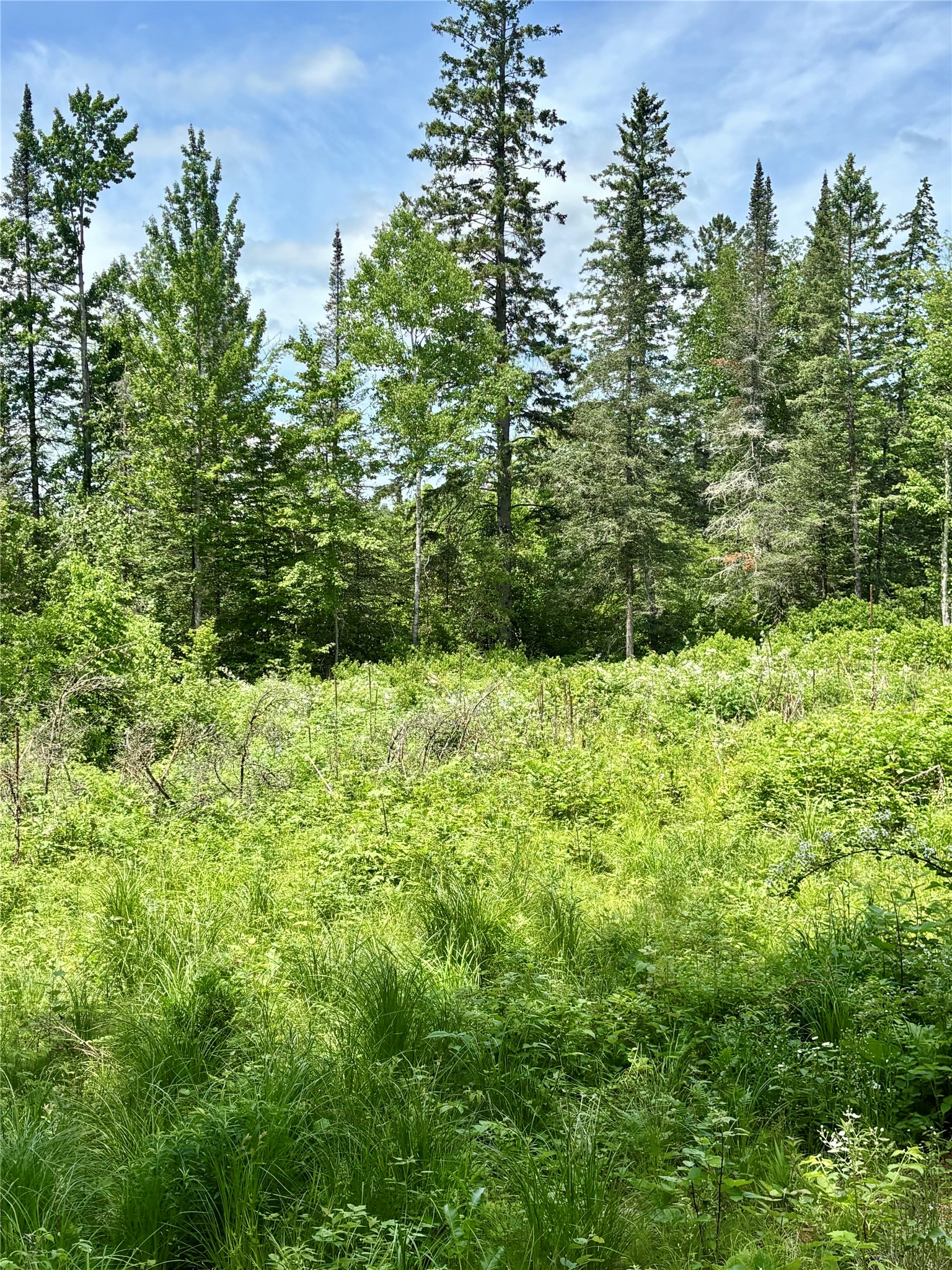 16550 W Ridgerock Road Property Photo 8