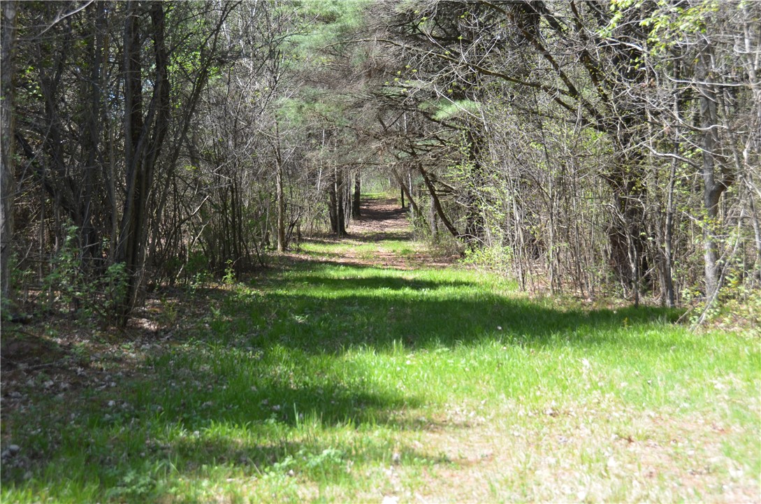 27484 County Highway X Property Photo 39