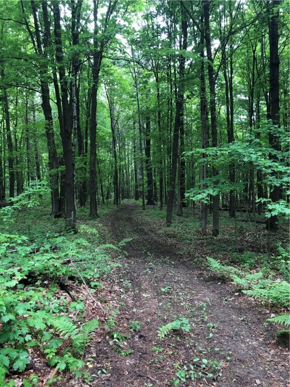 27484 County Highway X Property Photo 40
