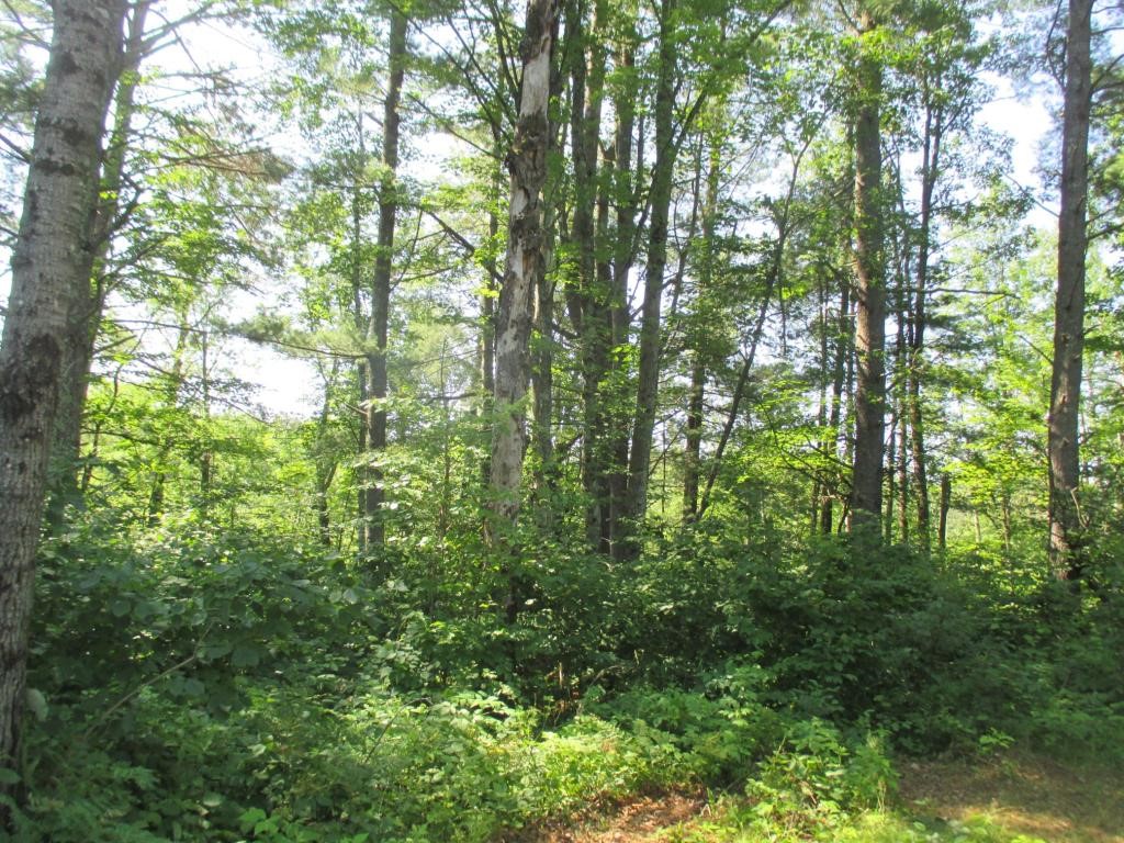 Lot 1 State Road 27/70 Property Photo 5